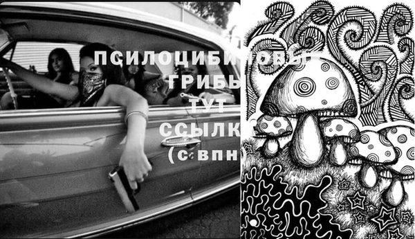 сатива Абдулино