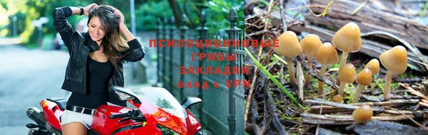 амф Алексеевка