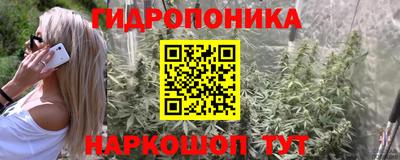 PSILOCYBIN Ипатово