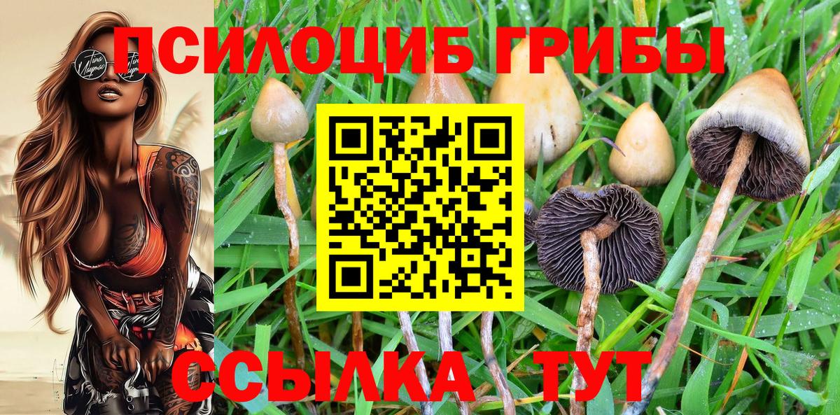 Кулебаки  Галлюциногенные грибы мицелий  Вход с VPN 